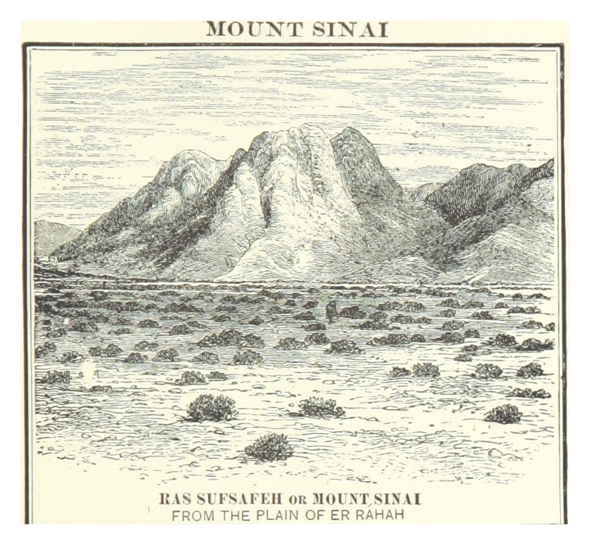 The Wilderness of Sin — Manna & Quail